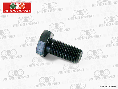 Vis pour volant 1700 - 2000 IE / TS (12 x 1,25)