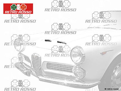 Jeu (2) Baguettes chromé capot 2000 Touring Spider
