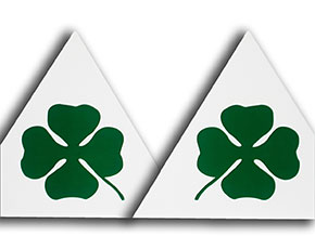Jeu (2) autocollants quadrifoglio rectangulaires (15cm)